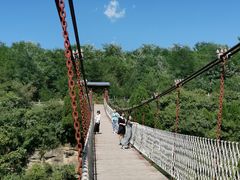 -铜川市金锁关石林