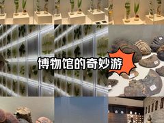 -广东中医药博物馆