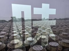 -厨邦酱油文化博览馆