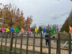 -上海长兴岛郊野公园