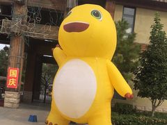 -南宫五洲植物乐园