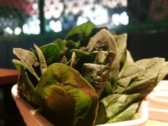 -额尔敦传统涮火锅·烧烤(鑫源山庄店)