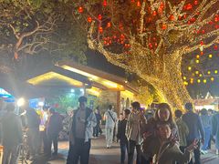 -惠州康帝国际酒店