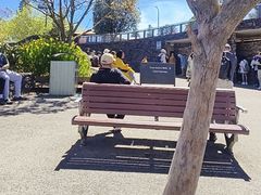 -悉尼蓝山三姐妹峰
