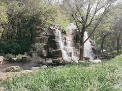 -北京野生动物园