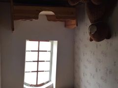 -金山农民画村-枫泾波兰倒置屋