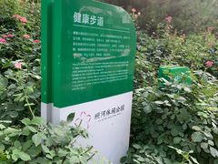 -坝河休闲公园
