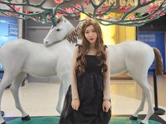 -红星美凯龙北京至尊MALL(东四环中路店)