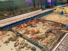 -一方渔歌蒸汽海鲜自助(文化路万达广场店)