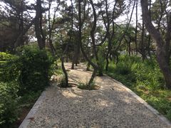 -黑石礁公园