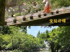 -绮园景区