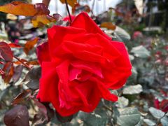 -人民公园(罗湖区)