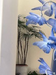 -美愈美肤MEIYU SKIN