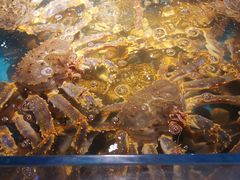 -拉完海鲜大排档(温岭店)