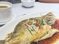 -沈大成(南京东路店)