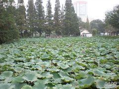 -包公祠