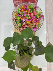 -悟空祛痘·亚健康皮肤管理中心