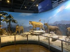 -陕西自然博物馆