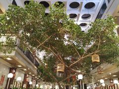 -广州酒家(文昌总店)