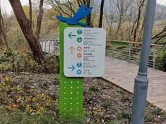 -西湖风景区-江洋畈生态公园