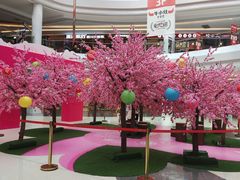 -CoCo都可(大石万民城店)