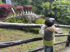 -自贡恐龙博物馆