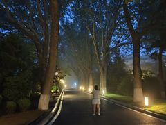 -棒棰岛宾馆景区