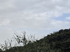 -北京西山国家森林公园