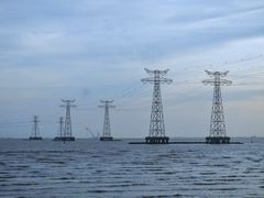 -宝安西湾红树林湿地公园