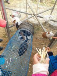 -萌宠亲子动物乐园(槐房万达店)