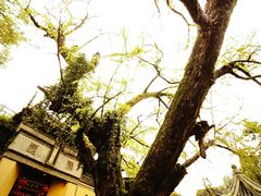 -惠山古镇·寄畅园