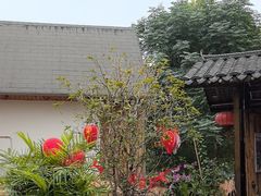 -后湖小院·乡野田园菜