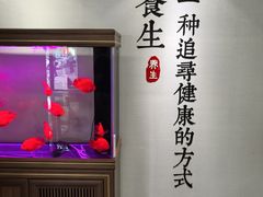 -金蚁康•经络调理•肩颈按摩(万达金街店)