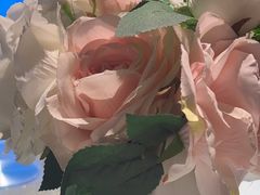 -上下九广州菜馆(锦业路店)