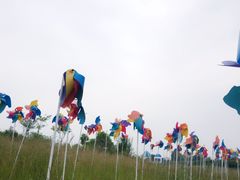 -紫颐香薰山谷景区