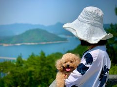 -千岛湖天屿景区