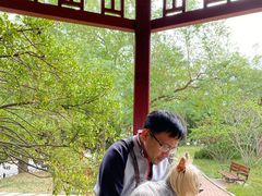 -八大关景区