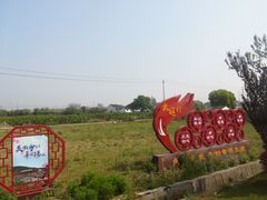 -田园东方蜜桃村的田野营地