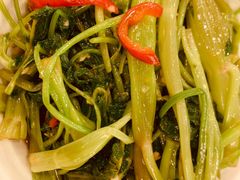 -凤城酒家(渣华道)