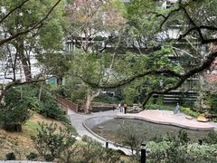 -香港大学