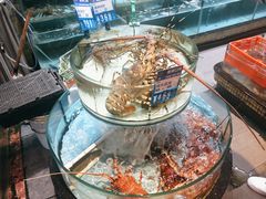 -强记海鲜·大排档(蛇口新街店)