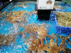 -盒马鲜生(曜一城店)