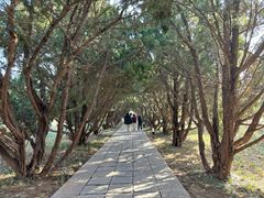 -洛阳古墓博物馆