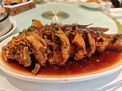-金春禧(英雄山路旗舰店)