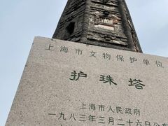 -上海佘山国家森林公园天马山园