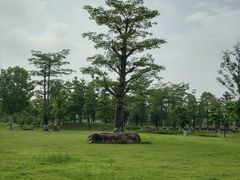 -福州大学(旗山校区)