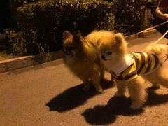 -长春公园(普阳街道)