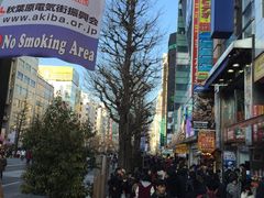 -秋叶原电器街