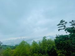 -紫金山山顶公园