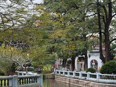 -溪岸路花鸟市场